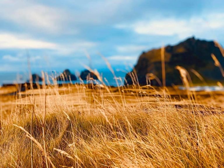 Haustferð til Vestmannaeyja að spranga, borða góðan mat, skoða Eldheima, mjaldrana, ganga á Eldfell og kíkja á Stórhöfða